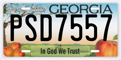 GA license plate PSD7557