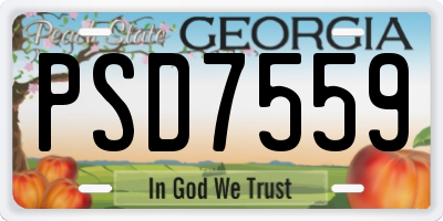GA license plate PSD7559