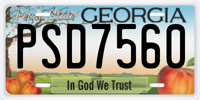 GA license plate PSD7560