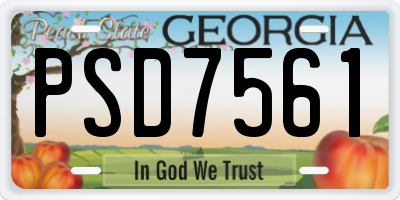 GA license plate PSD7561
