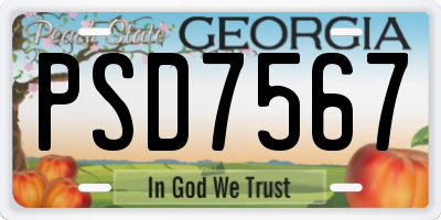 GA license plate PSD7567