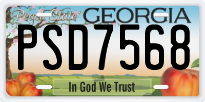 GA license plate PSD7568