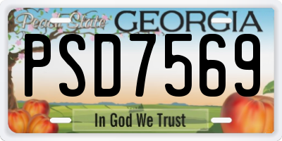GA license plate PSD7569