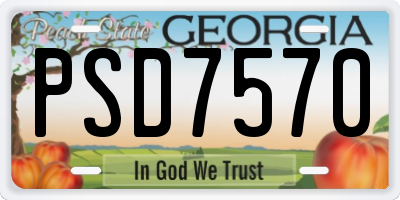GA license plate PSD7570
