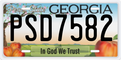 GA license plate PSD7582