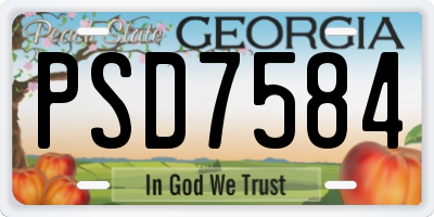 GA license plate PSD7584