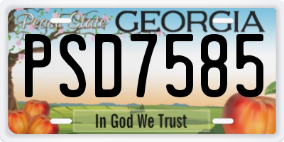 GA license plate PSD7585