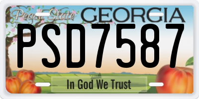 GA license plate PSD7587