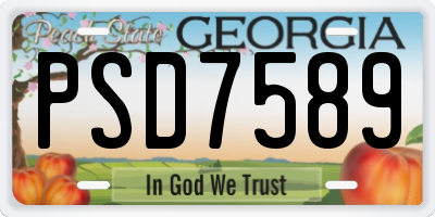 GA license plate PSD7589