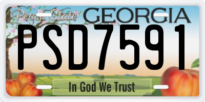 GA license plate PSD7591