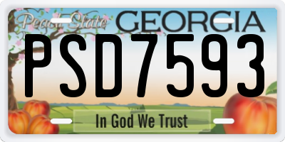 GA license plate PSD7593