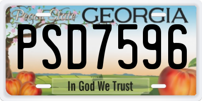GA license plate PSD7596
