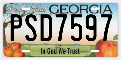 GA license plate PSD7597