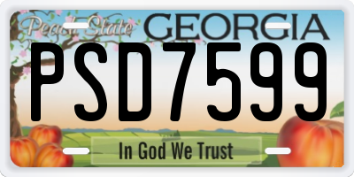 GA license plate PSD7599