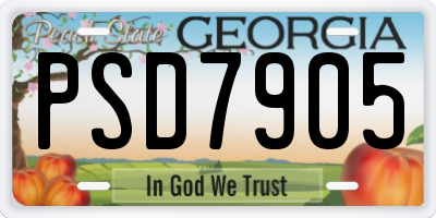 GA license plate PSD7905