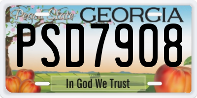 GA license plate PSD7908