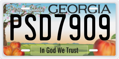 GA license plate PSD7909