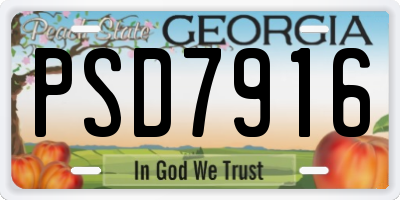 GA license plate PSD7916