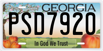 GA license plate PSD7920