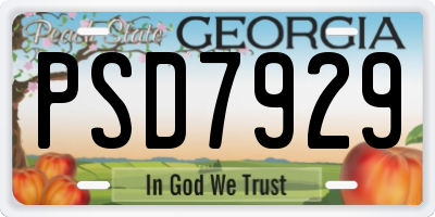GA license plate PSD7929