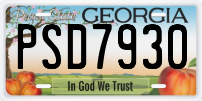 GA license plate PSD7930