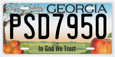 GA license plate PSD7950