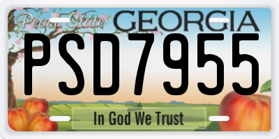 GA license plate PSD7955