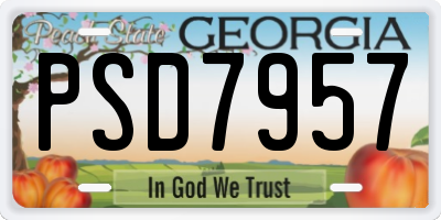 GA license plate PSD7957