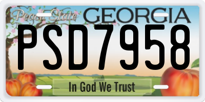 GA license plate PSD7958