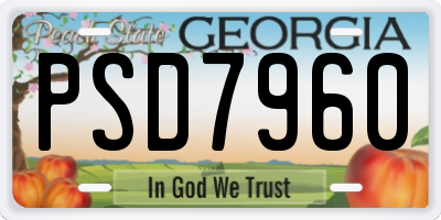 GA license plate PSD7960