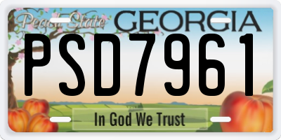GA license plate PSD7961