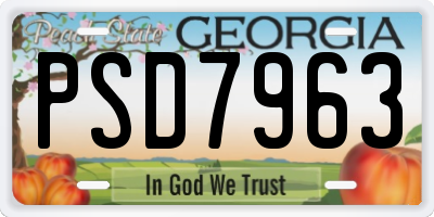 GA license plate PSD7963