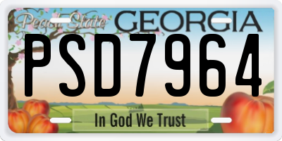 GA license plate PSD7964