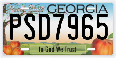 GA license plate PSD7965