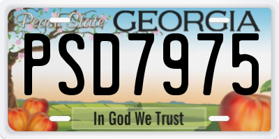 GA license plate PSD7975