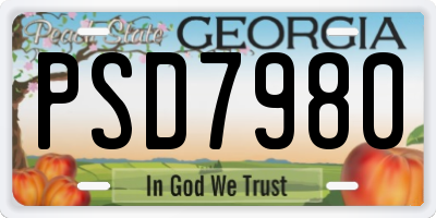 GA license plate PSD7980