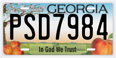 GA license plate PSD7984