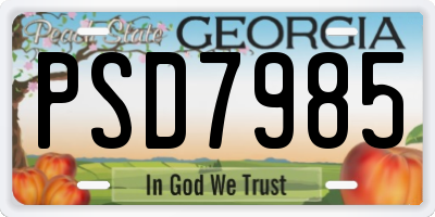 GA license plate PSD7985