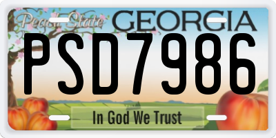 GA license plate PSD7986