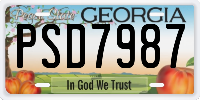 GA license plate PSD7987