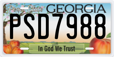 GA license plate PSD7988