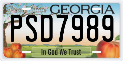 GA license plate PSD7989