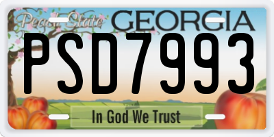 GA license plate PSD7993