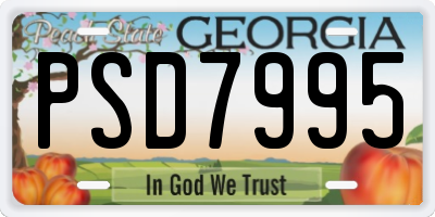 GA license plate PSD7995