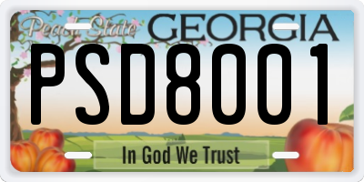 GA license plate PSD8001