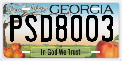 GA license plate PSD8003