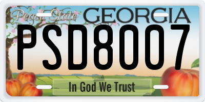 GA license plate PSD8007