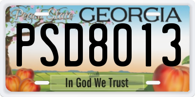 GA license plate PSD8013