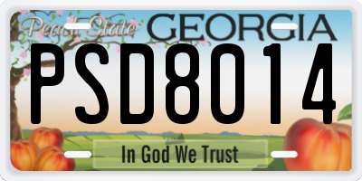 GA license plate PSD8014