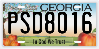 GA license plate PSD8016